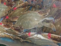 -宾朋海鲜特色美食餐厅·纯手工鲅鱼水饺(兴海路店)