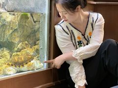 -帕帕拉兹宠物(亚洲旗舰店)