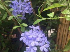 -缘生态云南菜·野生菌庭院餐厅(华侨城店)