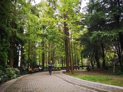 -苏州河梦清园环保主题公园