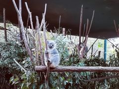 -可伦宾野生动物保护区