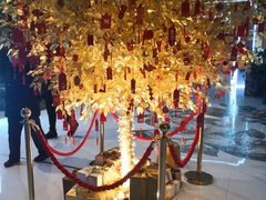 -太湖饭店玉兰厅(自助餐厅)