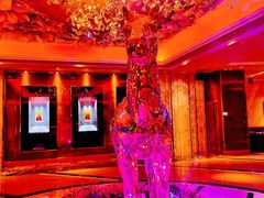 -纯K(打浦桥店)