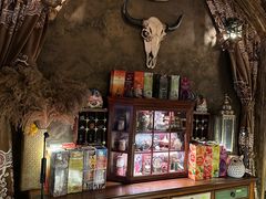 -雪灵魔法世界SHELLY’S TAROT(大良桂畔里店)