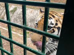 -深圳野生动物园