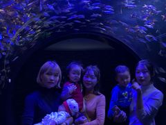 -成都浩海立方海洋公园