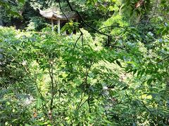 -莫干山风景区