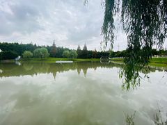 -金山嘴渔村