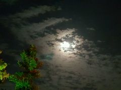 -LAMP BAR 水烟音乐酒吧