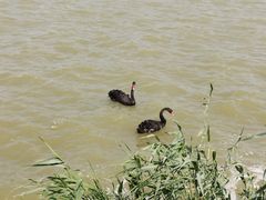 -天津东丽湖风景区