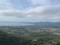-三亚亚龙湾人间天堂鸟巢度假村