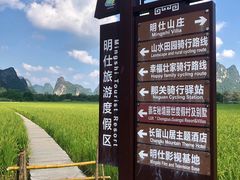 -明仕田园