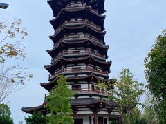 -洋湖国家湿地公园