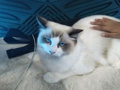 -零纪元VR体验馆·桌游(黄浦店)