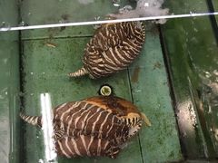 -老钱饭店(后渚港店)