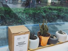 -Manner Coffee(大宁国际商业广场店)