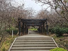 -九龙潭景区