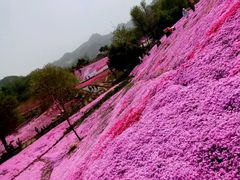 -昆嵛山石门里景区