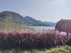 -顺峰山公园