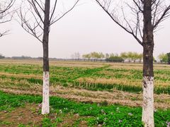 -嘉北郊野公园