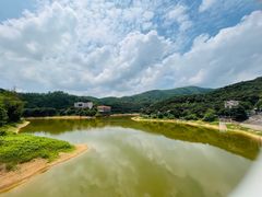 -东莞市大岭山森林公园