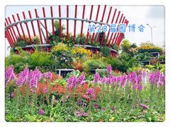 -海心沙亚运公园