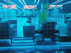 -世代星球·保龄球·镭战真人CS·团建(杨浦店)
