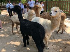 -北戴河集发农业梦想王国