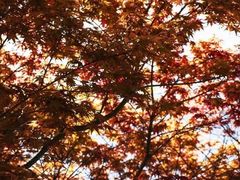 -鼎画艺术机构(贵都店)