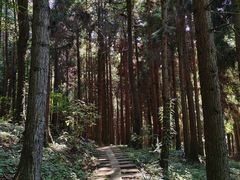 -山王坪喀斯特国家生态公园