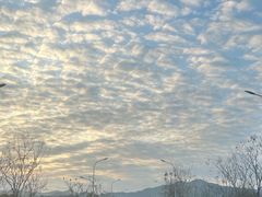 -证大大拇指广场(芳甸路店)