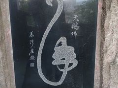 -高尔山公园