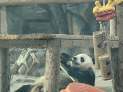 -武汉动物园