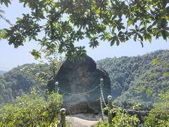 -南山植物园