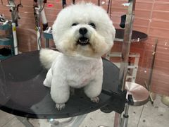 -FAELING PETS美天灵宠物(合生汇店)