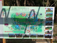 -东平国家森林公园