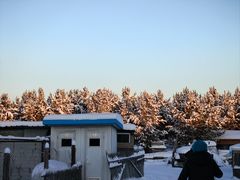 -北极村旅游风景区