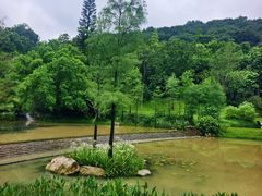 -云溪植物园