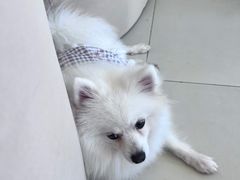 -怪兽屋·羊驼·猫咖·狗咖(俊华广场店)