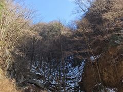 -王顺山国家森林公园