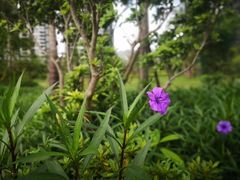 -友谊关景区