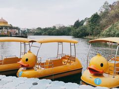 -珠海海泉湾神秘岛亲子乐园