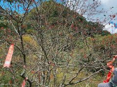 -终南山国家森林公园