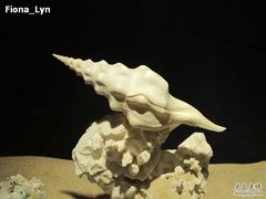 -亚龙湾中心广场·贝壳馆