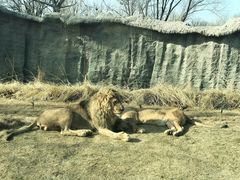 -北京野生动物园