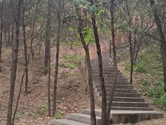 -森林公园(尖草坪区)