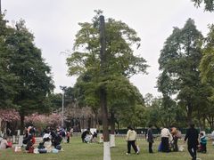 -成都南湖公园