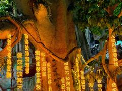 -福州罗源湾海洋世界旅游区