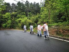 -四明山国家森林公园