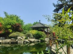 -中国唐苑